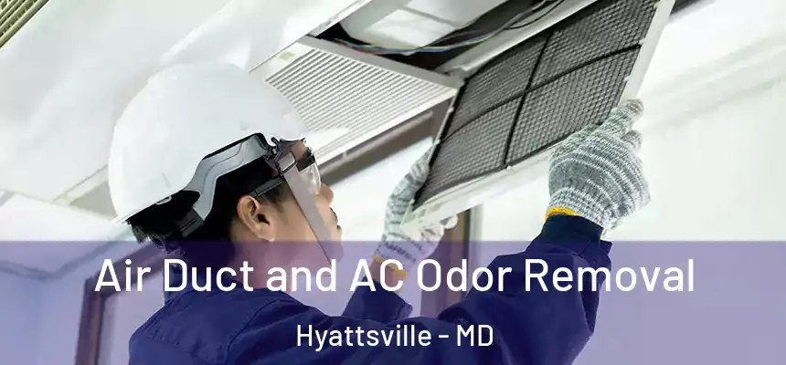  Air Duct and AC Odor Removal Hyattsville - MD