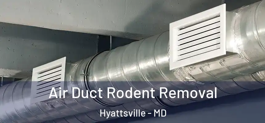  Air Duct Rodent Removal Hyattsville - MD