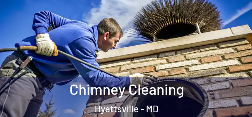  Chimney Cleaning Hyattsville - MD