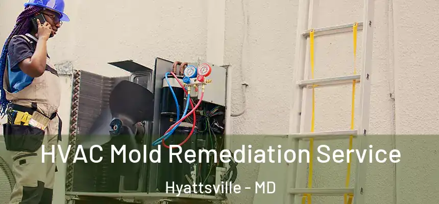  HVAC Mold Remediation Service Hyattsville - MD