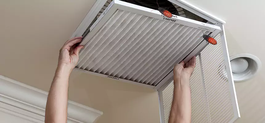 Preventive Cockroach-Proofing for Ducts in Hyattsville