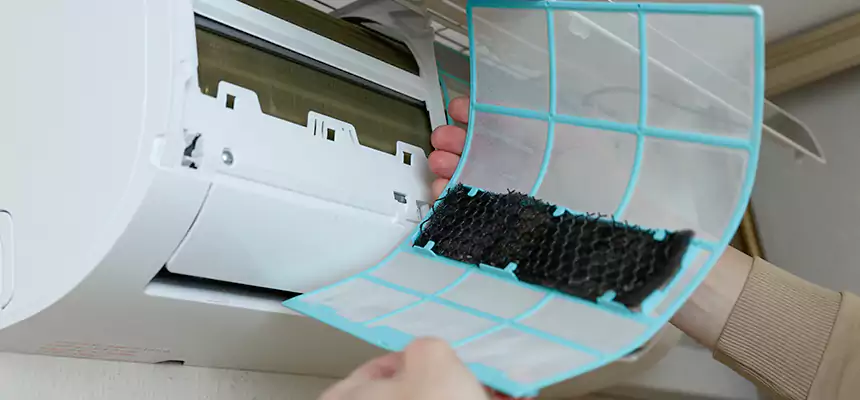 Gentle Ductwork Odor-Control Pet Dander Duct Cleaning in Hyattsville, MD