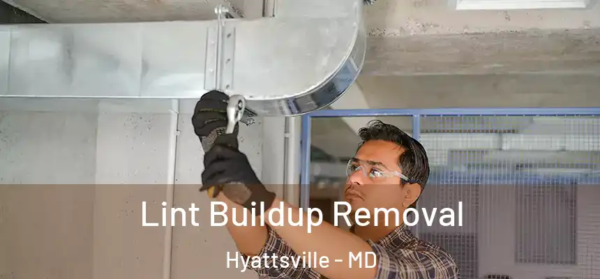  Lint Buildup Removal Hyattsville - MD