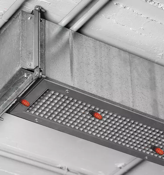 About Air Duct Cockroach Removal in Hyattsville, MD