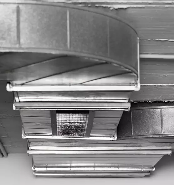 Professional Air Duct Pet Hair Removal in Hyattsville, MD