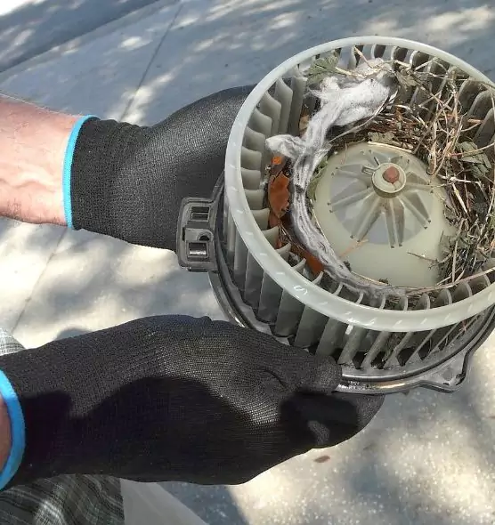 About Air Duct Rat Removal in Hyattsville, MD