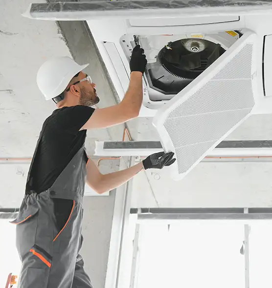 About Air Duct Rodent Removal in Hyattsville, MD