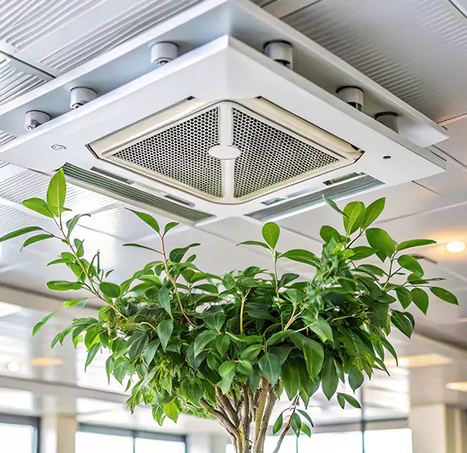 Why Homeowners & Businesses Trust Us in Hyattsville, MD?