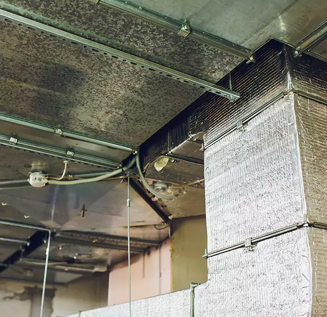 Why Homeowners & Businesses Trust Us in Hyattsville, MD?